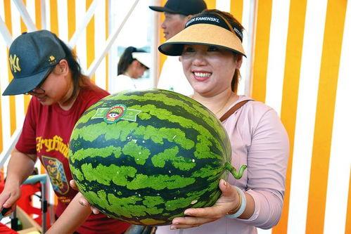 娱乐吃瓜最新,明星们的“吃瓜”大揭秘!
